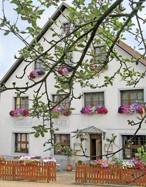 Hotel Restaurant Engel Pfaffenweiler Extérieur photo